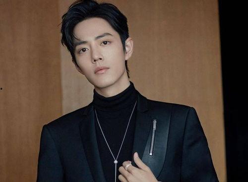 王锵采访爆料视频大全,揭秘娱乐圈幕后真相  第3张