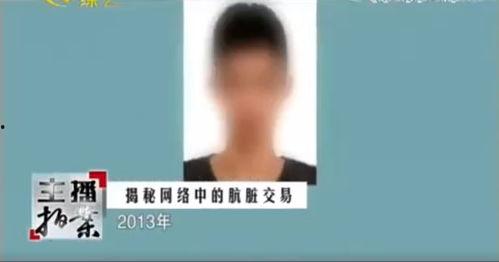 二子爷爆料家产视频,视频爆料背后的惊人真相 第3张 二子爷爆料家产视频,视频爆料背后的惊人真相 第3张